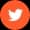 Twitter icon for following Advantage Flood updates